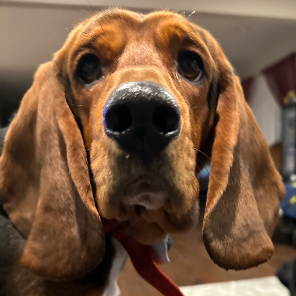 Meet your Posher, Gretakay